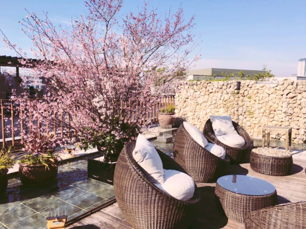 桜の季節もあと少し！絶景シートのある“お花見レストラン”３選の画像