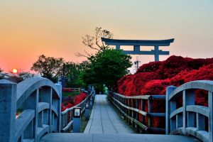 真っ赤に染まる絶景にため息。4月の京都散策は色とりどりの和菓子とともにの画像